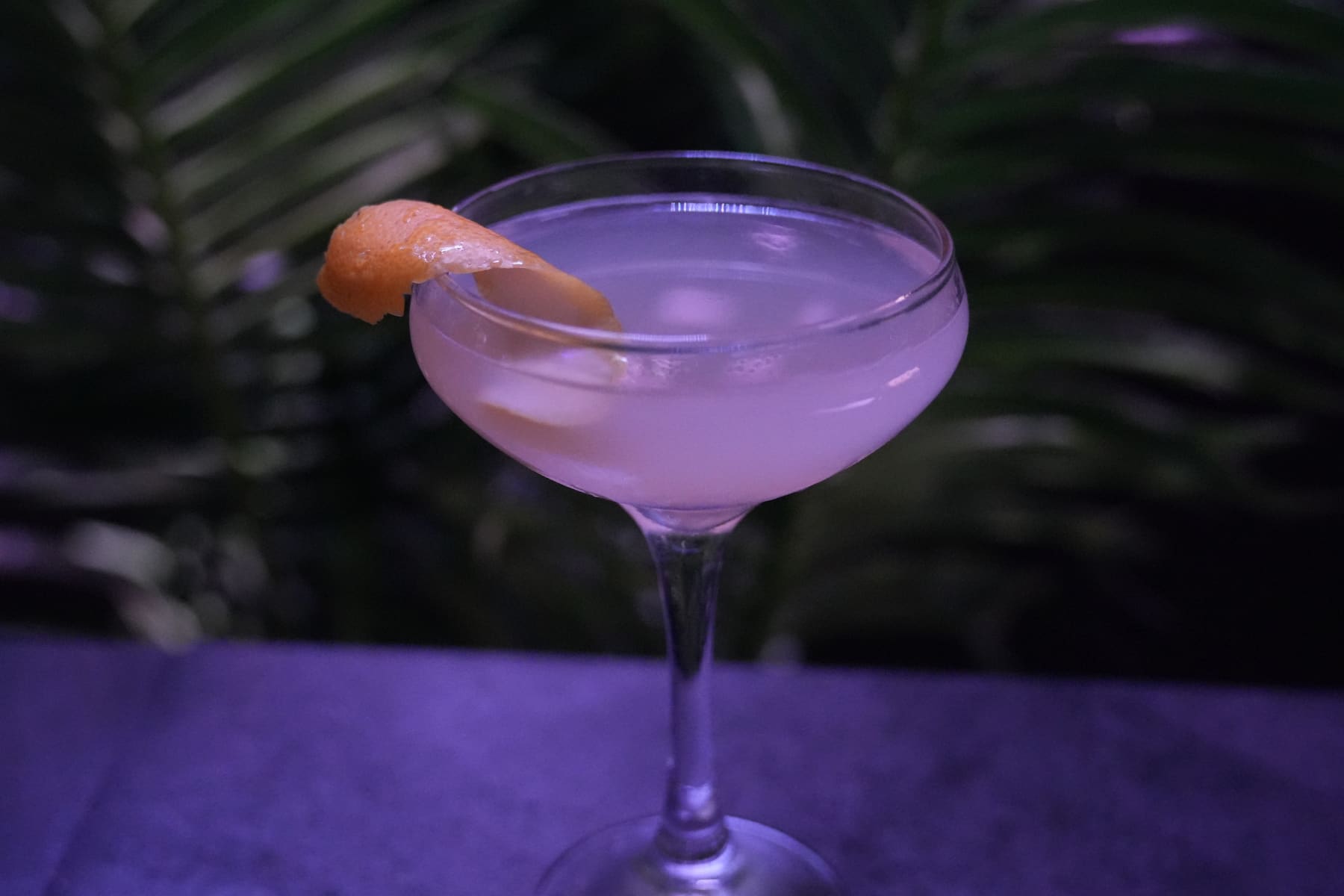 Sidecar Botánica cocktail at Salvatore's Cucina & Lounge in downtown San Diego